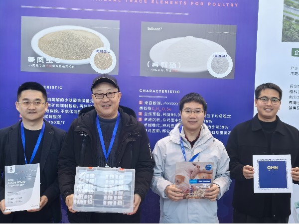 CHELOTAbifa88⼦ҵ̳