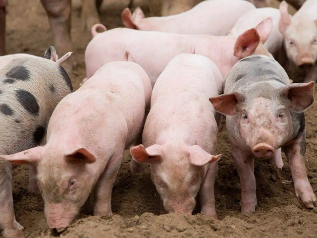 ＾ҪעʲôƺҪһҪĵ