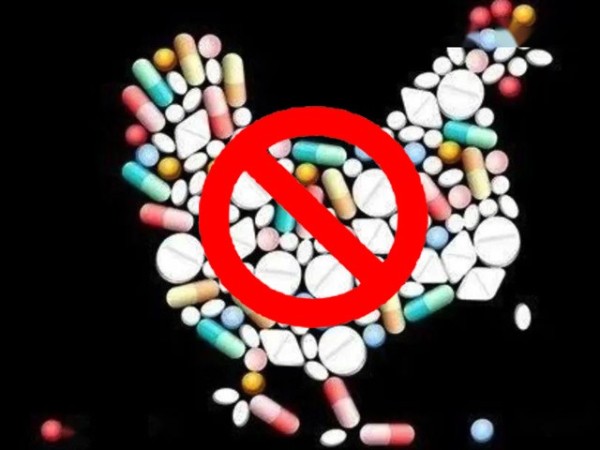 ϲǲΰ룻Żƽ