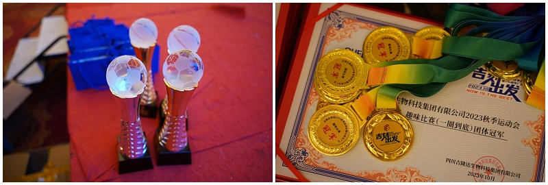 bifa882023＾˶26곧Ƭ