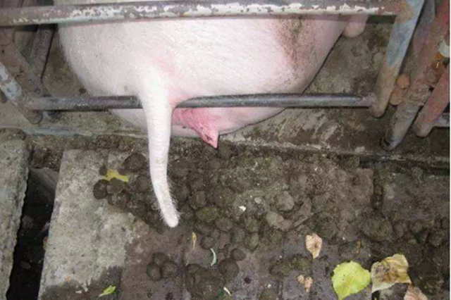 ĸ�����ص�����