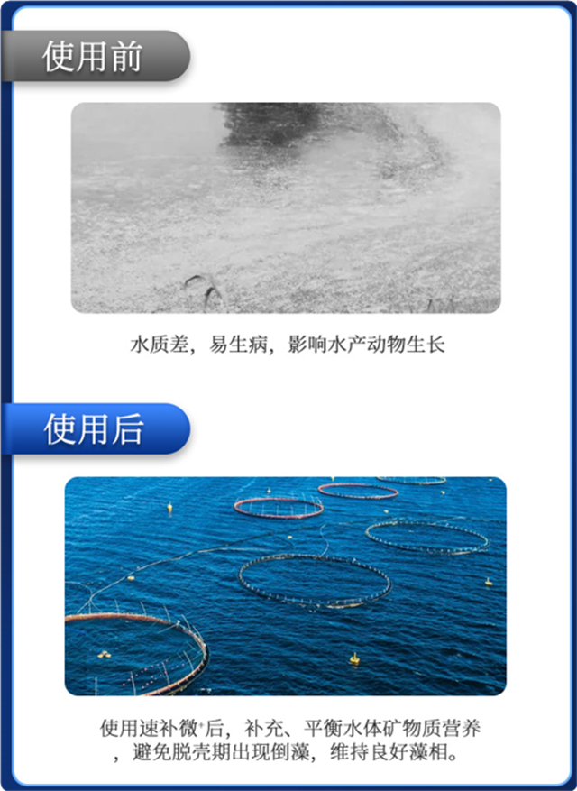 bifa88л΢Ԫٲ΢+ϺЧ