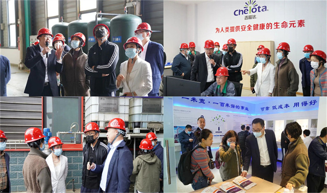 ͨɷݴιbifa88л΢Ԫع