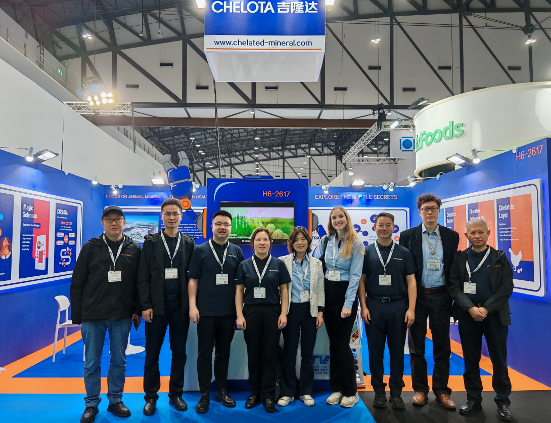 ̩ˣCHELOTAbifa88VIVޣ̩ʼԼչ