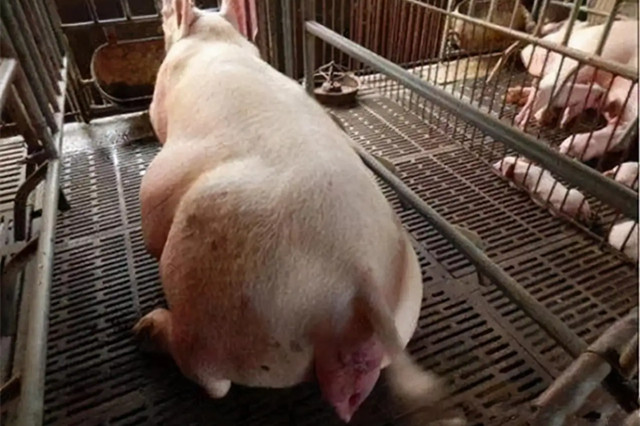 ĸ�����̹���������