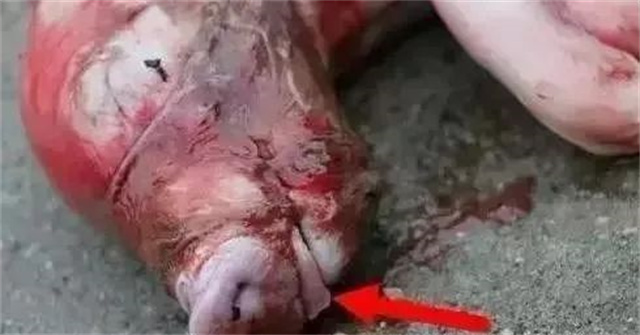 �ж�ĸ���Ƿ�����3������ĸ���ӹ���λ