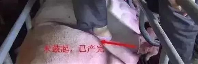 �ж�ĸ���Ƿ�����3������ĸ���ӹ���λ